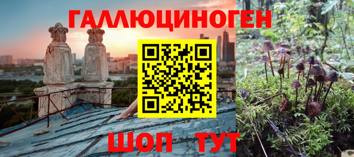Псилоцибиновые грибы мицелий  Вход с VPN  Галлюциногенные грибы Psilocybe  Канаш 
