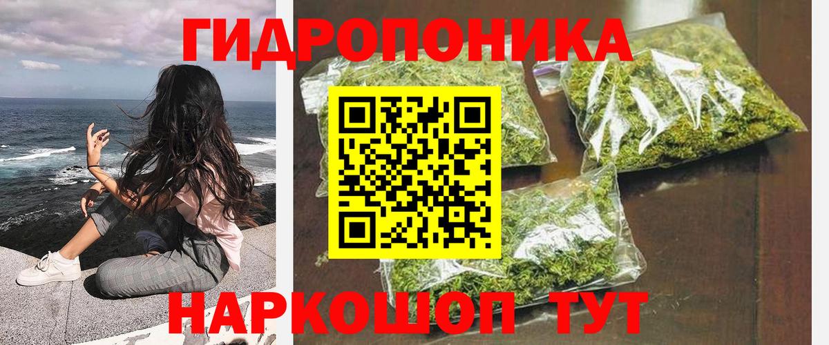Канаш  Бошки марихуана сатива  Вход с VPN  Бошки марихуана AK-47 